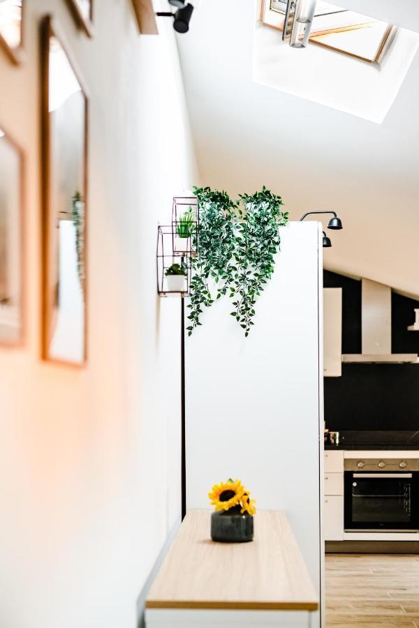 Mansarda Belli Ravenna Apartment Bagian luar foto